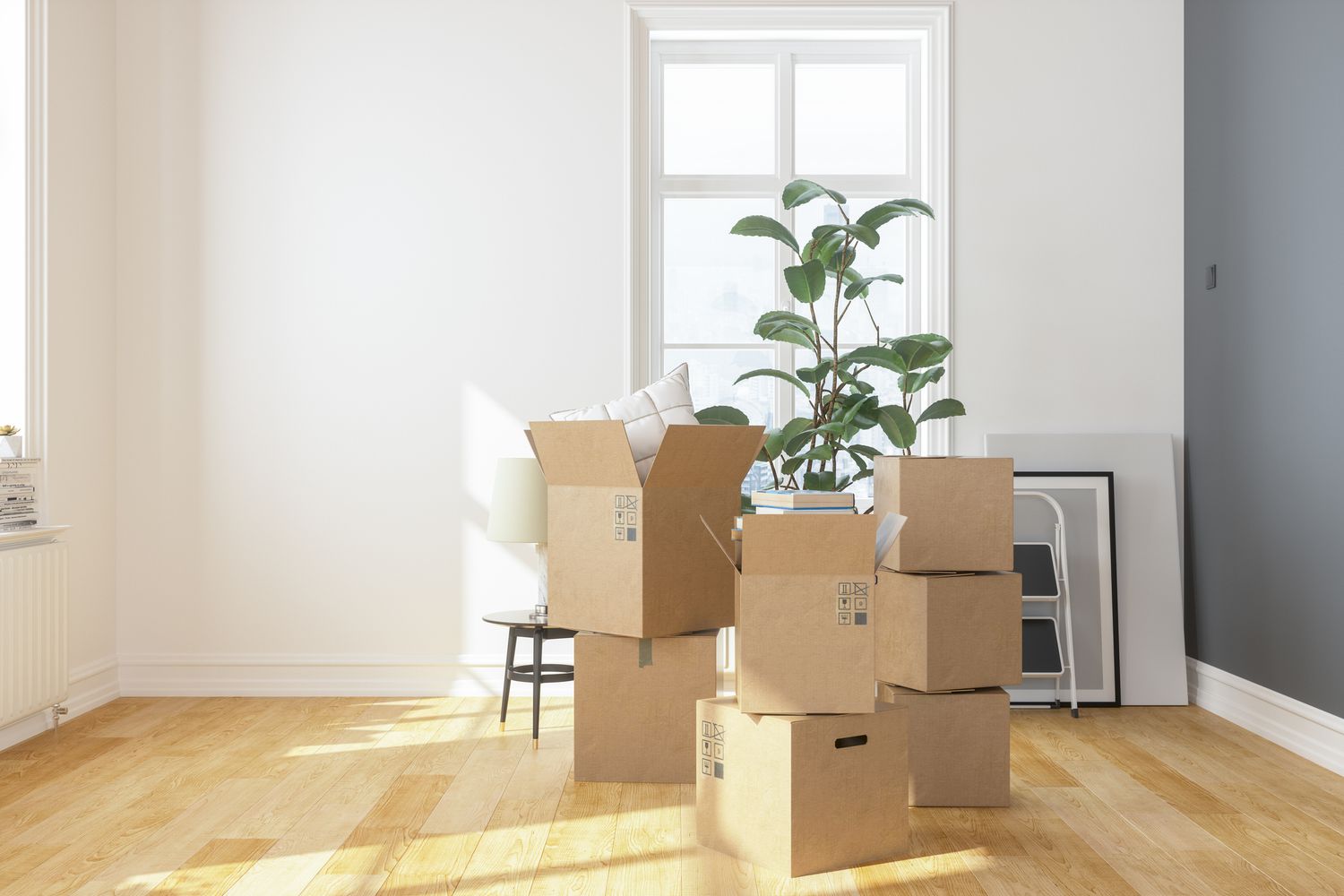 movers denver colorado