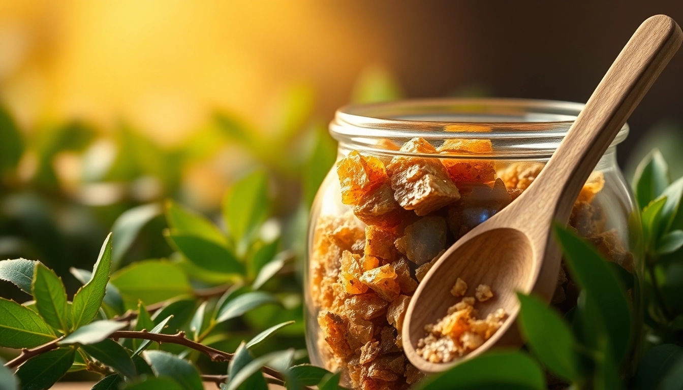 Mesmerizing myrrh resin displayed elegantly in a glass jar surrounded by greenery.